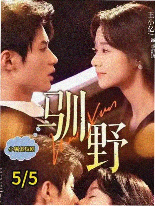 午后双场区域示意图，月白色街区网格